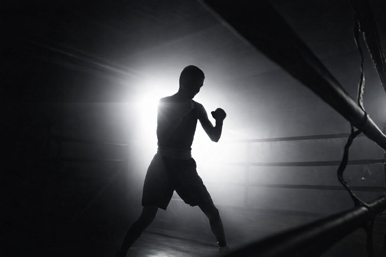 The combat mindset online course - 12 modules for mental training in boxing MMA muay thai and Judo